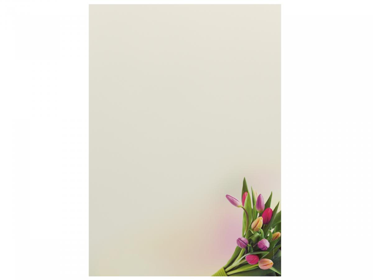 Motivpapier Tulpen im Sonnenlicht Briefpapier mit Motiv